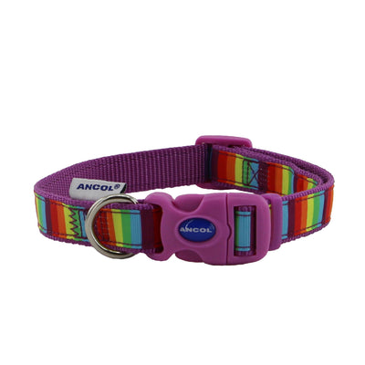 Ancol Rainbow Collar Size S 20-30cm Size 1-2
